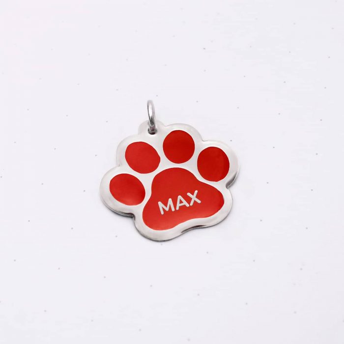 Placa Paw - Imagen 5