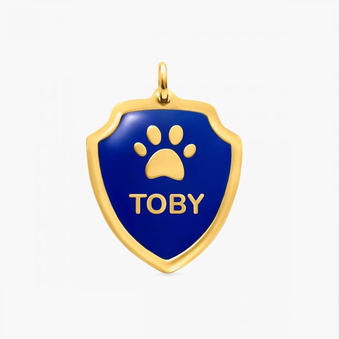 Placa Shield