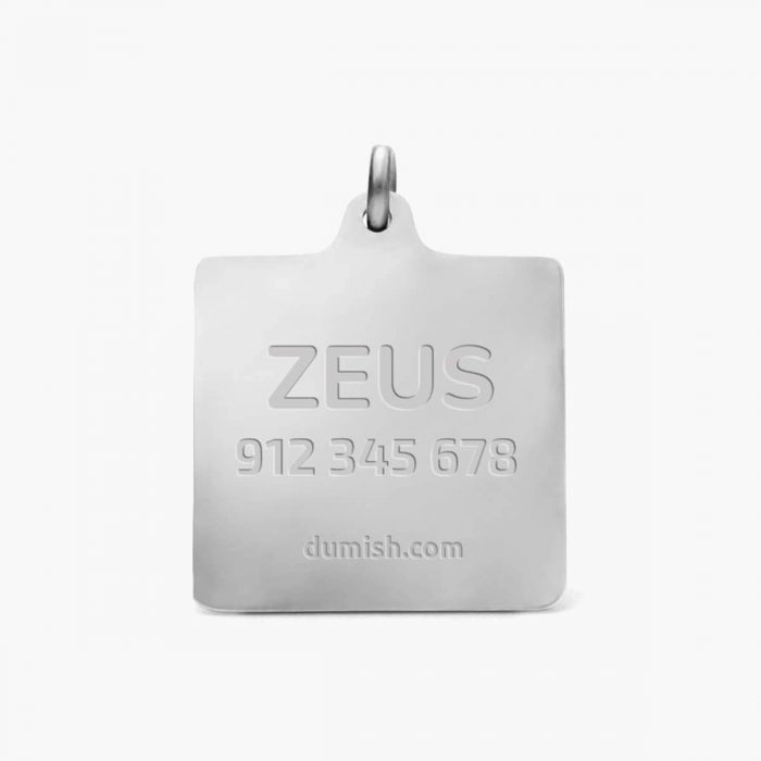 Placa Dota - Imagen 2